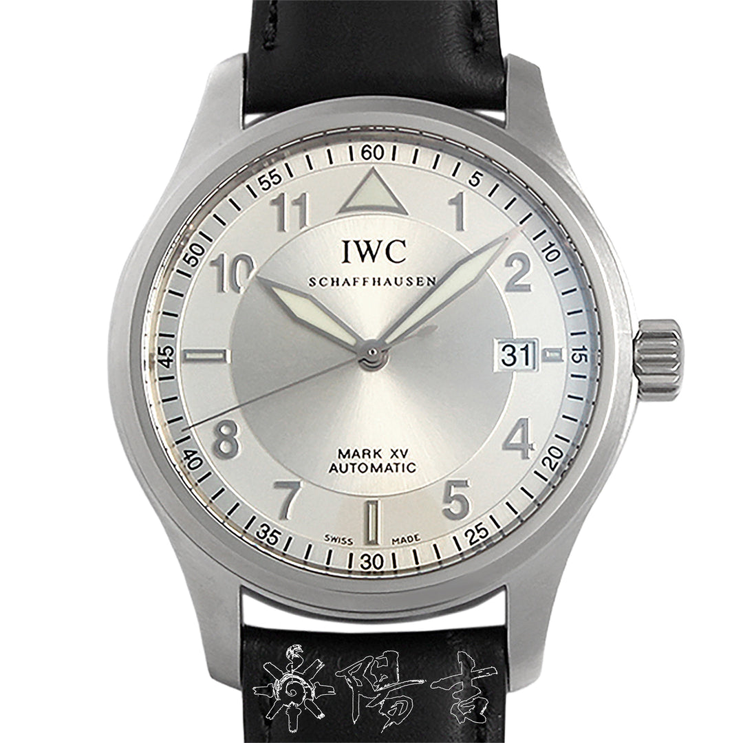 IWC IW325313