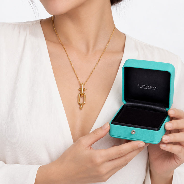 TIFFANY&amp;Co. タイタン by ファレル・ウィリアムス ネックレス